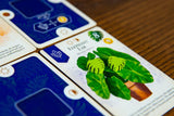 Verdant Kickstarter